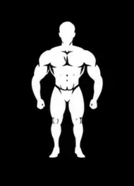 silhouaite men's physique